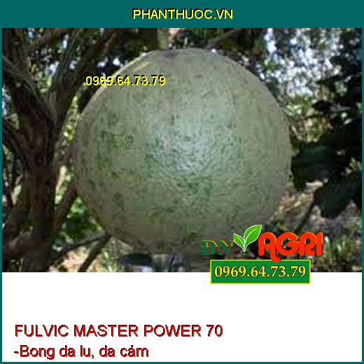 PHÂN BÓN SINH HỌC FULVIC MASTER POWER 70 -Tẩy Ghẻ, Bóng Trái,Giải Độc Cây