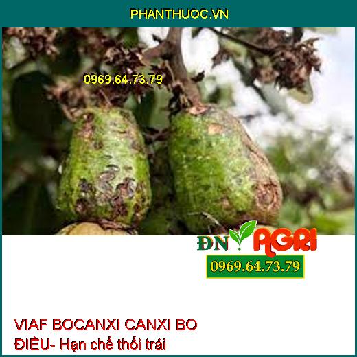 PHÂN BÓN LÁ VIAF BOCANXI CANXI BO ĐIỀU - Siêu Đậu Trái, Chống Rụng Bông, Trái Non, Chống Khô Bông, Đen Trái