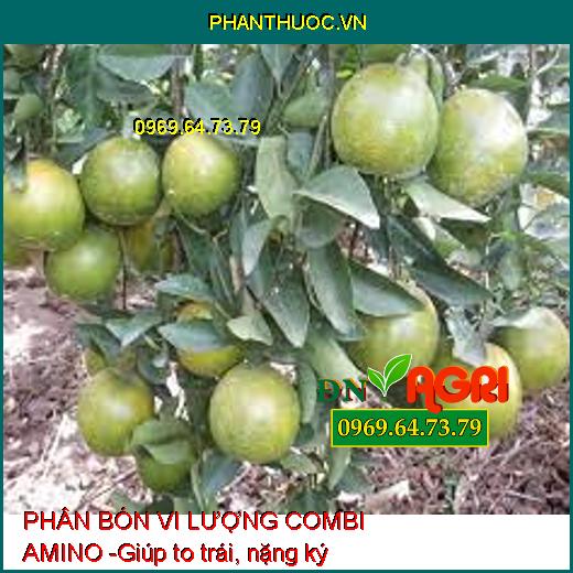 PHÂN BÓN VI LƯỢNG COMBI AMINO - Lá Xanh Dày, Mập Chồi Thân To, To Trái Nặng Ký