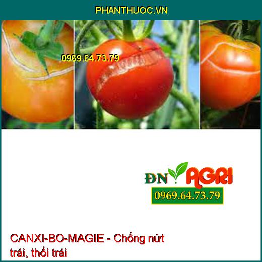 SIÊU ĐẬU TRÁI CHỐNG RỤNG CANXI-BO-MAGIE - ĐẬU TRÁI NON, CHỐNG RỤNG TRÁI