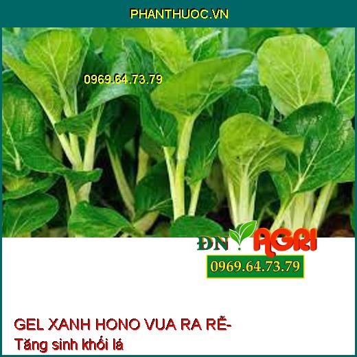 GEL XANH HONO VUA RA RỄ – Siêu Ra rễ, Vọt Đọt, Tái Sinh Hệ Rễ, Bung Cành Vọt Đọt, Xanh Cây