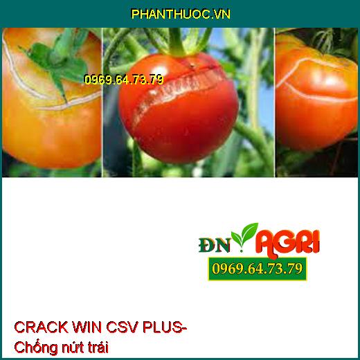 PHÂN BÓN LÁ TRUNG VI LƯỢNG CRACK WIN CSV PLUS- To Quả, Đẹp Màu, Tăng Năng Suất