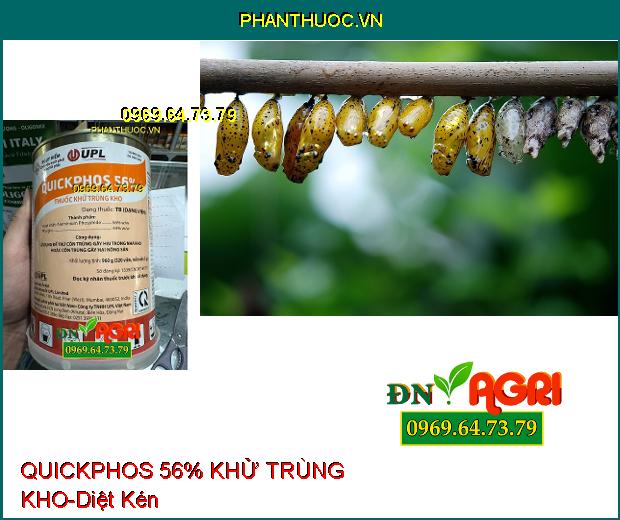 QUICKPHOS 56% THUỐC KHỬ TRÙNG KHO - Dùng Để Diệt, Phòng Trứng, Ấu Trùng, Kén, Nhộng, Con Trưởng Thành Các Loại Côn Trùng Gây Hại