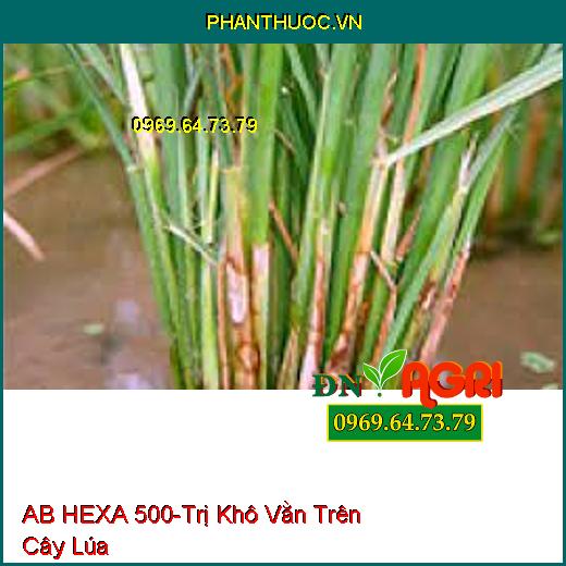 THUỐC TRỪ NẤM HẠI MEKONGVIL 5SC AB HEXA 500 - Đặc Trị Nấm Hại Và Khô Vằn Trên Lúa