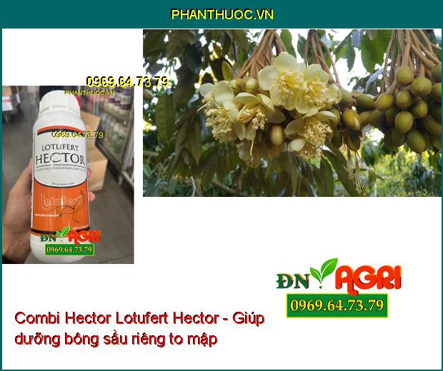 Combi Hector Lotufert Hector - Cây Phát Triển Toàn Diện - Phục Hồi Cây Sau Thu Hoạch 