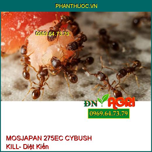 MOSJAPAN 275EC CYBUSH KILL- Diệt Ruồi-Kiến-Gián- Diệt Trứng Và Xua Đuổi Mạnh