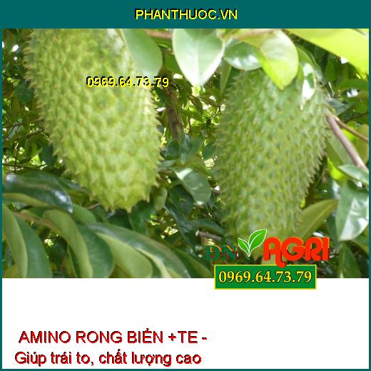 PHÂN BÓN LÁ TỔNG HỢP NPK AMINO RONG BIỂN +TE - Đẻ Nhánh, Nhiều Búp, Cành Sai Quả, Hạt No Tròn