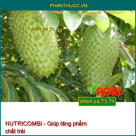 PHÂN BÓN VI LƯỢNG NUTRICOMBI - KÍCH THÍCH TĂNG ĐẬU TRÁI CÂY TRỒNG - TĂNG LƯỢNG HOA - CHẤT LƯỢNG CỦA TRÁI