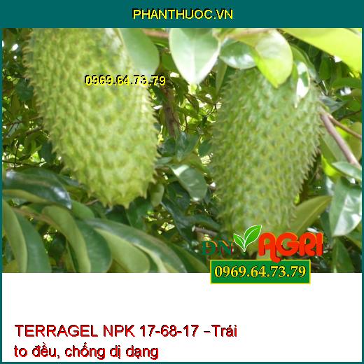 TERRAGEL NPK 17-68-17 – Kích Hoa Đồng Loạt, Ra Rễ Cực Mạnh