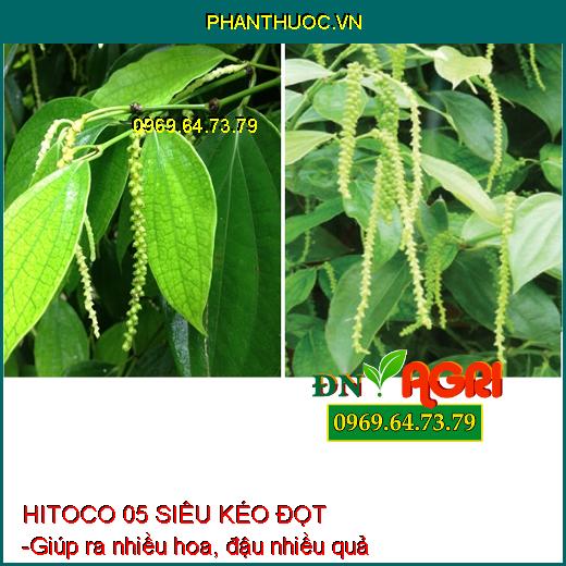 HITOCO 05 SIÊU KÉO ĐỌT - Giúp Phóng Đọt Cực Nhanh, Mập Đọt, Sung Cây, Xanh Lá