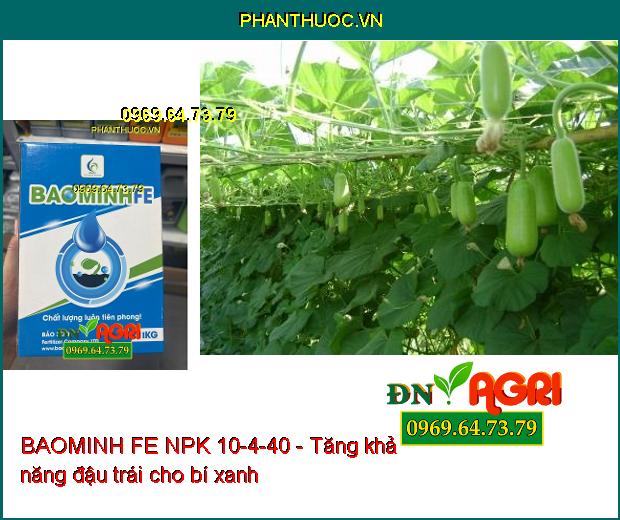 BAOMINH FE NPK 10-4-40 Kích Ra Hoa Đồng Loạt- Lớn Trái- Phát Triển Cực Mạnh