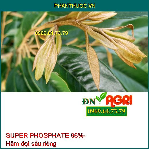 SUPER PHOSPHATE 86% - Chuyên Tạo Mầm Hoa Vụ Nghịch, Ức chế ngọn, Hạn Chế Đi Đọt