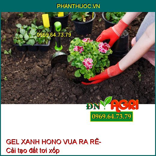 GEL XANH HONO VUA RA RỄ – Siêu Ra rễ, Vọt Đọt, Tái Sinh Hệ Rễ, Bung Cành Vọt Đọt, Xanh Cây