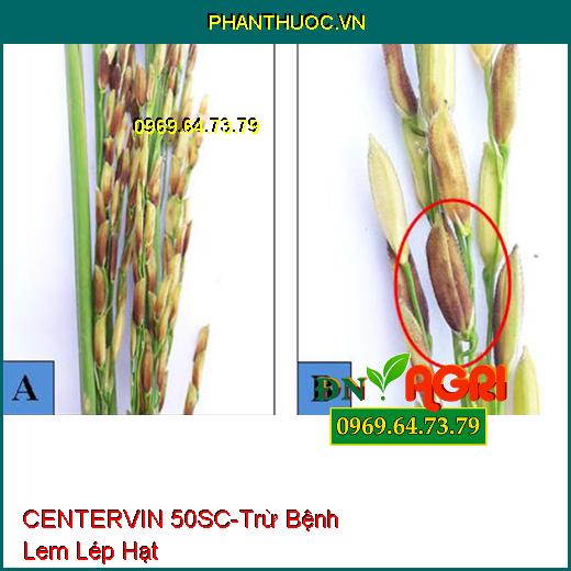 Thuốc Trừ Bệnh CENTERVIN 50SC - Trừ Bệnh Đốm Vằn - Lem Lép Hạt - Bệnh Do Nấm Gây Ra