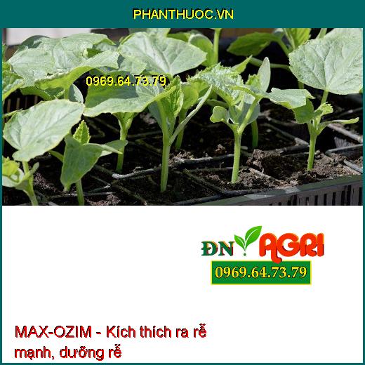 PHÂN BÓN HỮU CƠ MAX-OZIM -Kích Thích Ra Rễ Mạnh, Lá Xanh Bền, Lá Dày, Cứng Cây