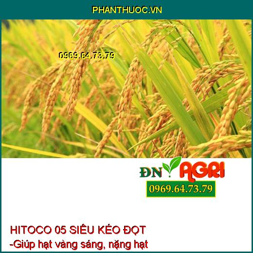 HITOCO 05 SIÊU KÉO ĐỌT - Giúp Phóng Đọt Cực Nhanh, Mập Đọt, Sung Cây, Xanh Lá