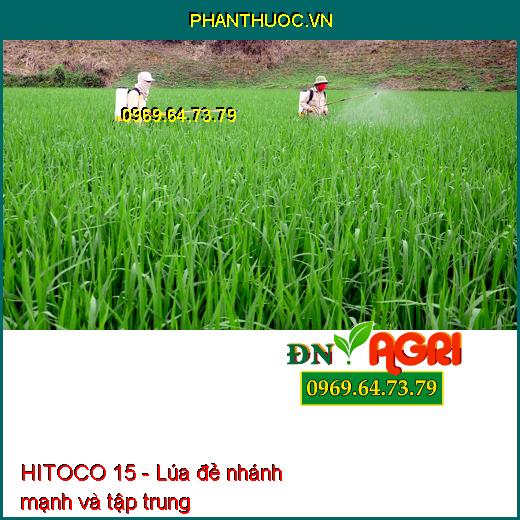 PHÂN BÓN VI LƯỢNG HITOCO 15 - Mập Đọt Mập Bông, Phì Trái, Kéo Dãn Trái