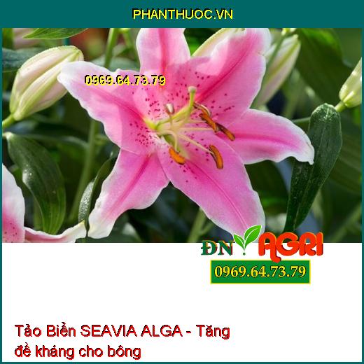 Tảo Biển SEAVIA ALGA - Mát Cây-Tăng Thụ Phấn-Ngăn Nấm Bệnh- Rễ Phát Triển Nhanh