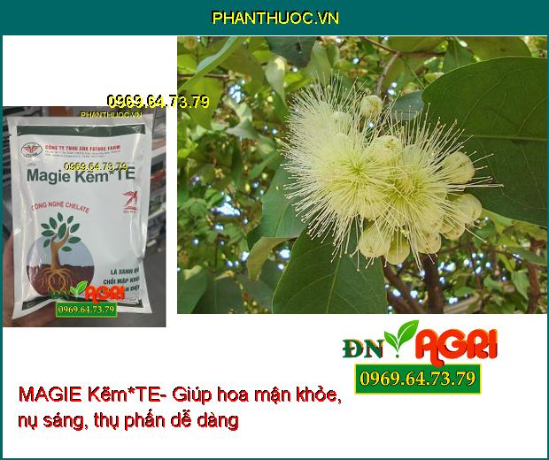 MAGIE Kẽm*TE- Lá Xanh Dày- Chồi Mập Khỏe- Tăng Đậu Trái-Hoa Mập Khỏe