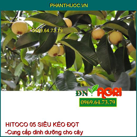 HITOCO 05 SIÊU KÉO ĐỌT - Giúp Phóng Đọt Cực Nhanh, Mập Đọt, Sung Cây, Xanh Lá