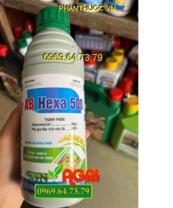 THUỐC TRỪ NẤM HẠI MEKONGVIL 5SC AB HEXA 500 - Đặc Trị Nấm Hại Và Khô Vằn Trên Lúa