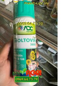 THUỐC TRỪ BỆNH MOLTOVIN 380SC - Đặc Trị Vi Khuẩn, Bạc Lá Lúa