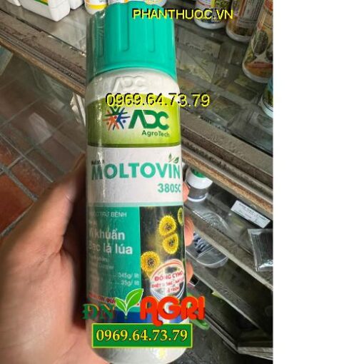 THUỐC TRỪ BỆNH MOLTOVIN 380SC - Đặc Trị Vi Khuẩn, Bạc Lá Lúa