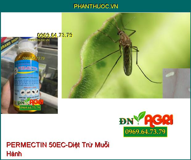 THUỐC DIỆT CÔN TRÙNG PERMECTIN 50EC- TIÊU DIỆT MUỖI, RUỒI, KIẾN, GIÁN, BỌ CHÉT