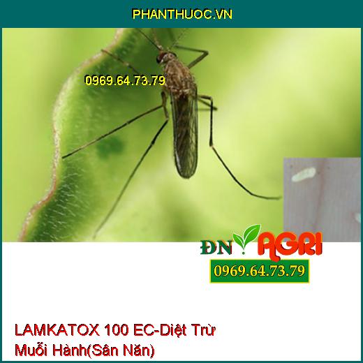 THUỐC TRỪ MUỖI, RUỒI, KIẾN, GIÁN, CÔN TRÙNG LAMKATOX 100 EC