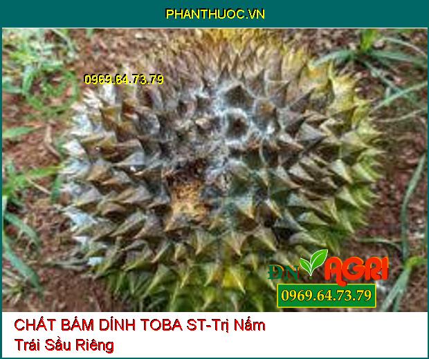 CHẤT BÁM DÍNH TOBA ST - Tăng Bám Dính, Rửa Rong Rêu, Sạch Nấm Bệnh