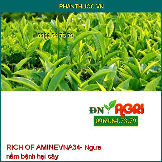 PHÂN BÓN RICH OF AMINEVNA34 - TĂNG TRƯỞNG, LỚN TRÁI, PHỤC HỒI CÂY