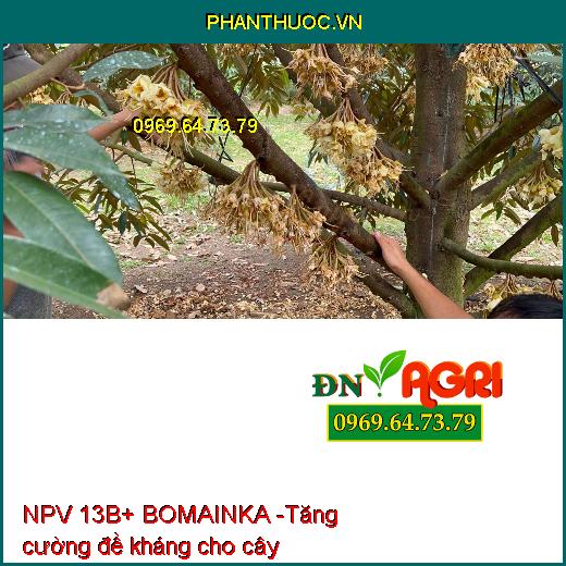 PHÂN BÓN VI LƯỢNG NPV 13B+ BOMAINKA - Chống Rụng Bông, Trái Non, Tăng Đậu Trái