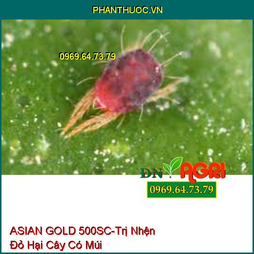 THUỐC TRỪ SÂU ASIAN GOLD 500SC THIURON 500SC - Đặc Trị Nhện Trên Cây Có Múi