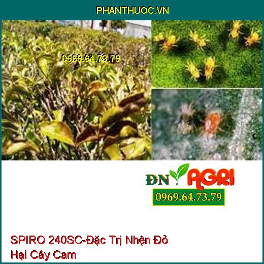 THUỐC TRỪ SÂU SPIRO 240SC NHỆN H97 - Đặc Trị Nhện Đỏ, Sạch Nhện, Hết Trứng Mạnh Và Kéo Dài