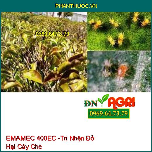 THUỐC TRỪ SÂU EMAMEC 400EC VUA NHỆN ATLANTIC - Đặc Trị Nhện, Sâu , Rầy Rệp Và Trứng Nhện