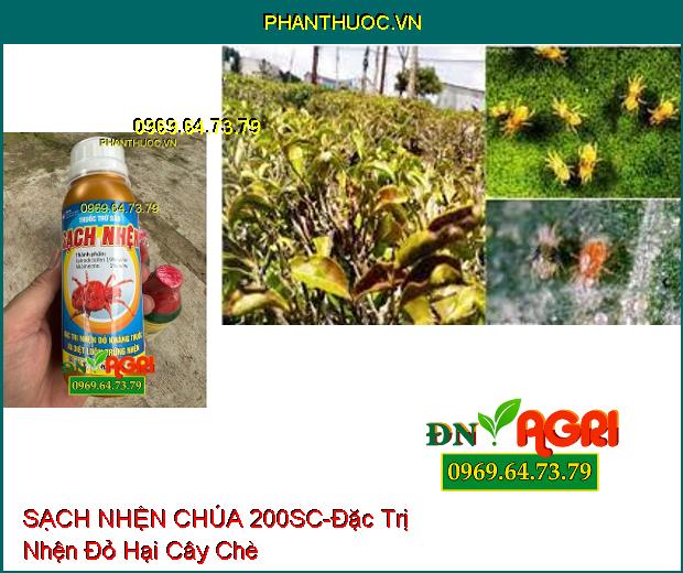 THUỐC TRỪ SÂU SẠCH NHỆN CHÚA 200SC - Đặc Trị Nhện Đỏ Kháng Thuốc Và Diệt Luôn Trứng Nhện