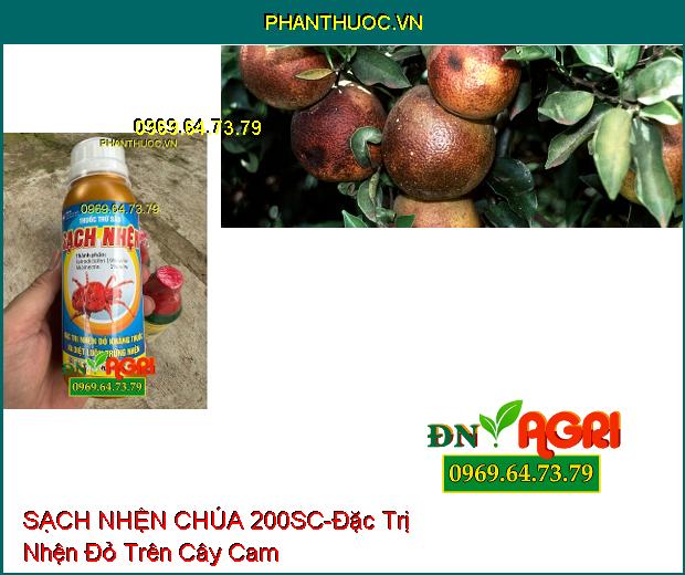 THUỐC TRỪ SÂU SẠCH NHỆN CHÚA 200SC - Đặc Trị Nhện Đỏ Kháng Thuốc Và Diệt Luôn Trứng Nhện