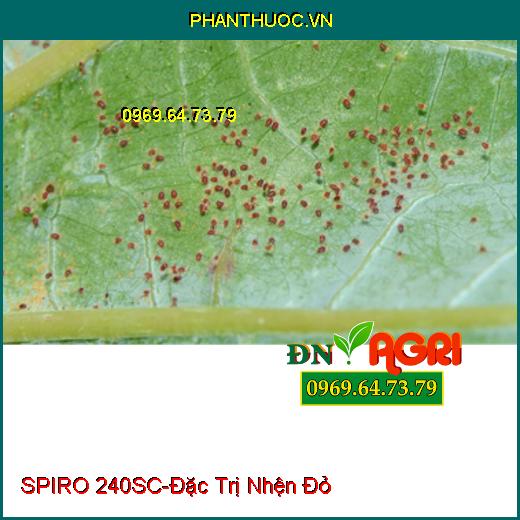 THUỐC TRỪ SÂU SPIRO 240SC - Đặc Trị Nhện Đỏ Hiệu Quả Cao, Kéo Dài