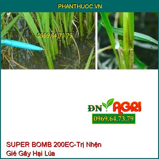 THUỐC TRỪ SÂU SUPER BOMB 200EC NỔ TUNG NHỆN GIÉ - Đặc Trị Nhện Gié Gây Hại Trên Lúa