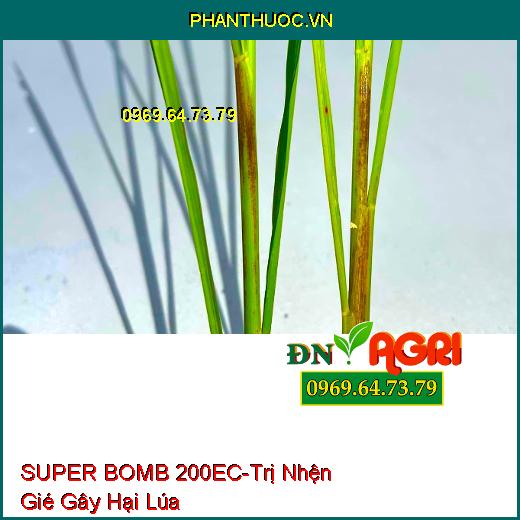 THUỐC TRỪ SÂU SUPER BOMB 200EC NỔ TUNG NHỆN GIÉ - Đặc Trị Nhện Gié Gây Hại Trên Lúa