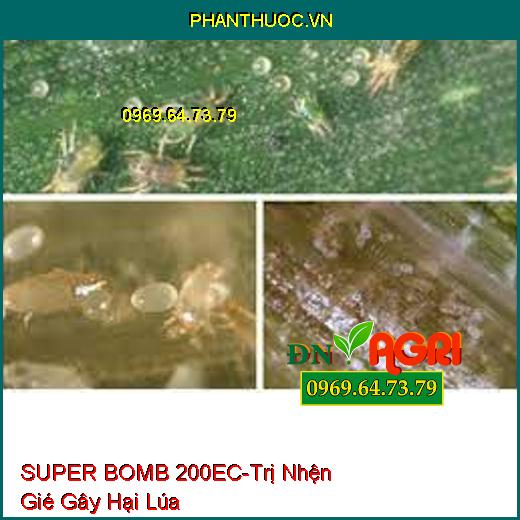 THUỐC TRỪ SÂU SUPER BOMB 200EC NỔ TUNG NHỆN GIÉ - Đặc Trị Nhện Gié Gây Hại Trên Lúa