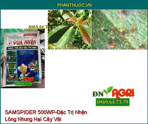 THUỐC TRỪ SÂU SAMSPIDER 500WP VUA NHỆN - Đặc Trị Nhện Trên Cây Trồng