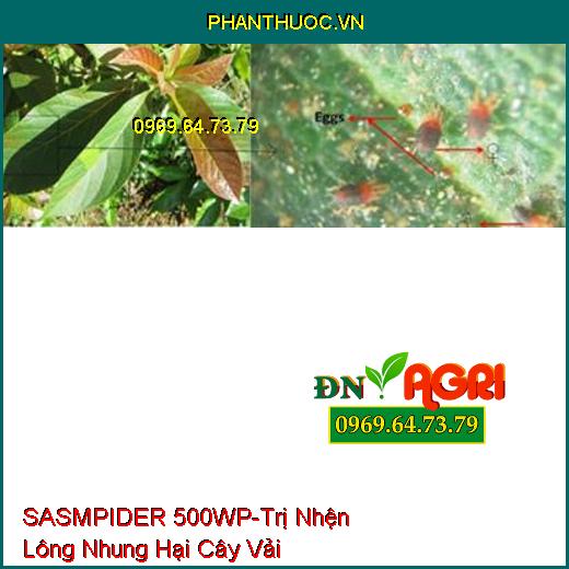 THUỐC TRỪ SÂU SASMPIDER 500WP SIÊU PHẨM DIỆT NHỆN D500 - Hạ Gục Nhện Nhanh, Phá Tổ Nhện