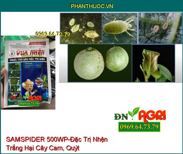 THUỐC TRỪ SÂU SAMSPIDER 500WP VUA NHỆN - Đặc Trị Nhện Trên Cây Trồng