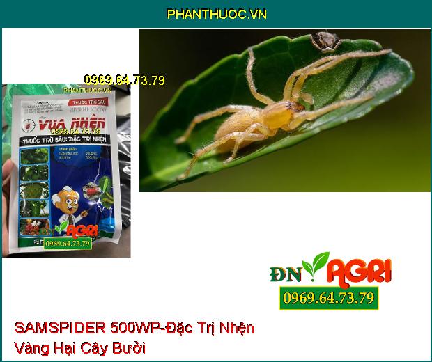 THUỐC TRỪ SÂU SAMSPIDER 500WP VUA NHỆN - Đặc Trị Nhện Trên Cây Trồng