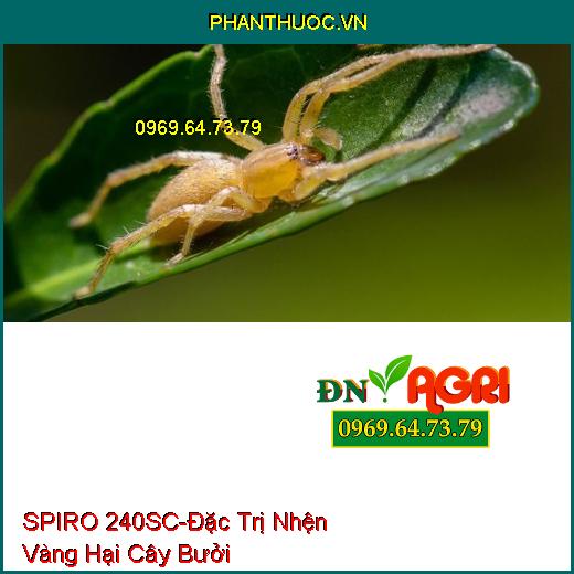 THUỐC TRỪ SÂU SPIRO 240SC NHỆN H97 - Đặc Trị Nhện Đỏ, Sạch Nhện, Hết Trứng Mạnh Và Kéo Dài