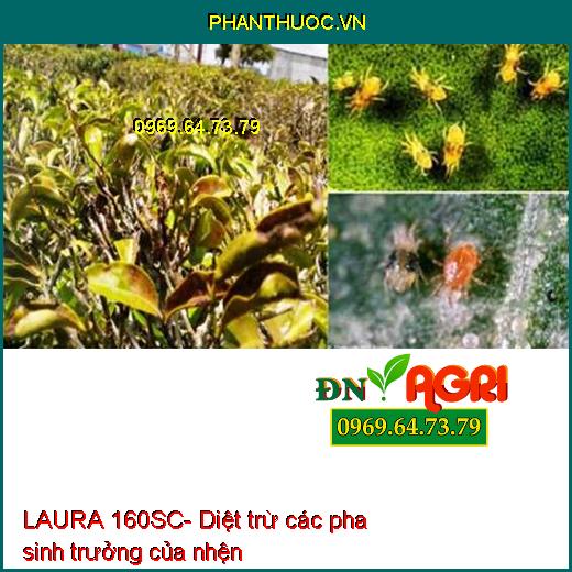 THUỐC TRỪ SÂU LAURA 160SC- DIỆT SẠCH NHỆN ĐỎ, NHỆN VÀNG, NHỆN TRẮNG