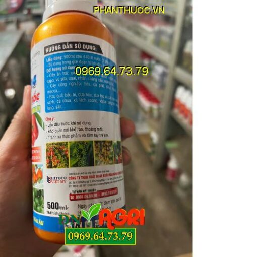 AV EUROMAX NPK 3-3-12 HITOCO 04- Lớn Trái Thần Tốc, Đẹp Trái, Nặng Ký, Múi To