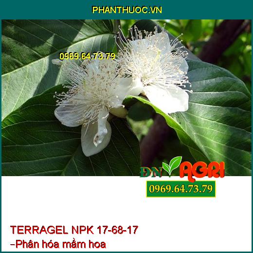 TERRAGEL NPK 17-68-17 – Kích Hoa Đồng Loạt, Ra Rễ Cực Mạnh