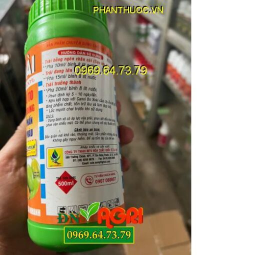 PHÂN BÓN LÁ HQ 101 SIÊU TO TRÁI XOÀI - TRÁI TO, SÁNG BÓNG, LÊN MÀU ĐẸP